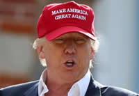 Make America Great Again Red Hat Donald Trump 2016